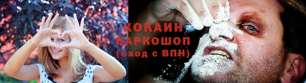 стафф Вязьма