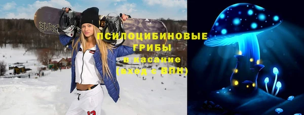спайс Вяземский