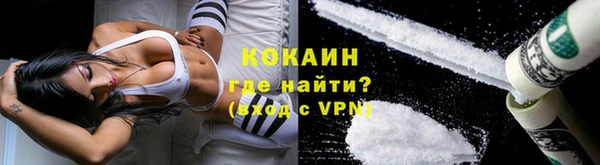 стафф Вязьма