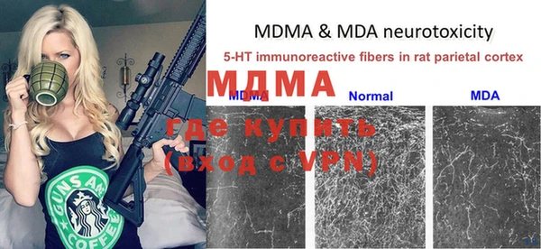 ГАЛЛЮЦИНОГЕННЫЕ ГРИБЫ Кукмор