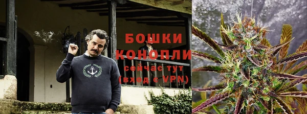 спайс Вяземский