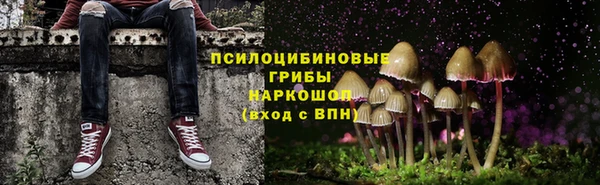 спайс Вяземский