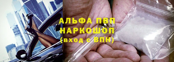 спайс Вяземский