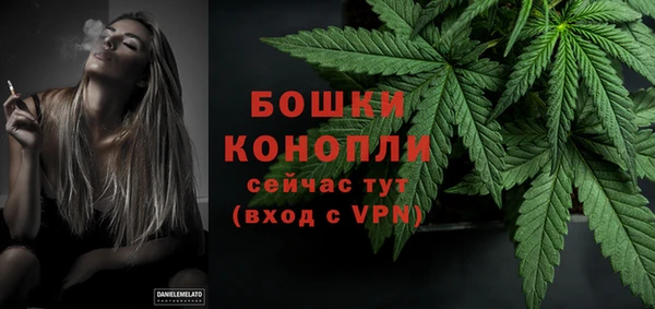 спайс Вяземский