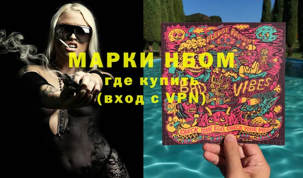 стафф Вязьма